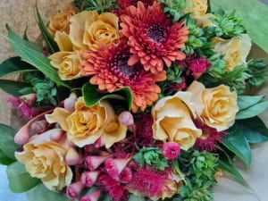 Seasonal Autumn