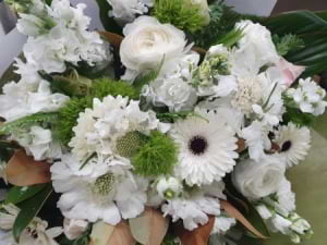 Seasonal White
