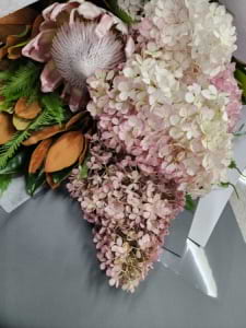 Paniculata Hydrangea