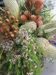 Wild Flowers