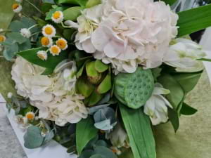 White Hydrangea