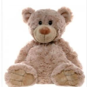 Teddy Bear 