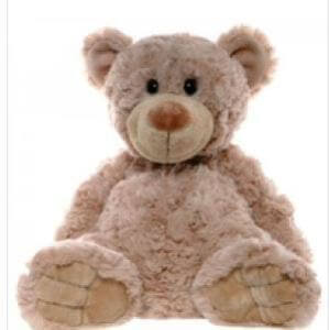 Teddy Bear 